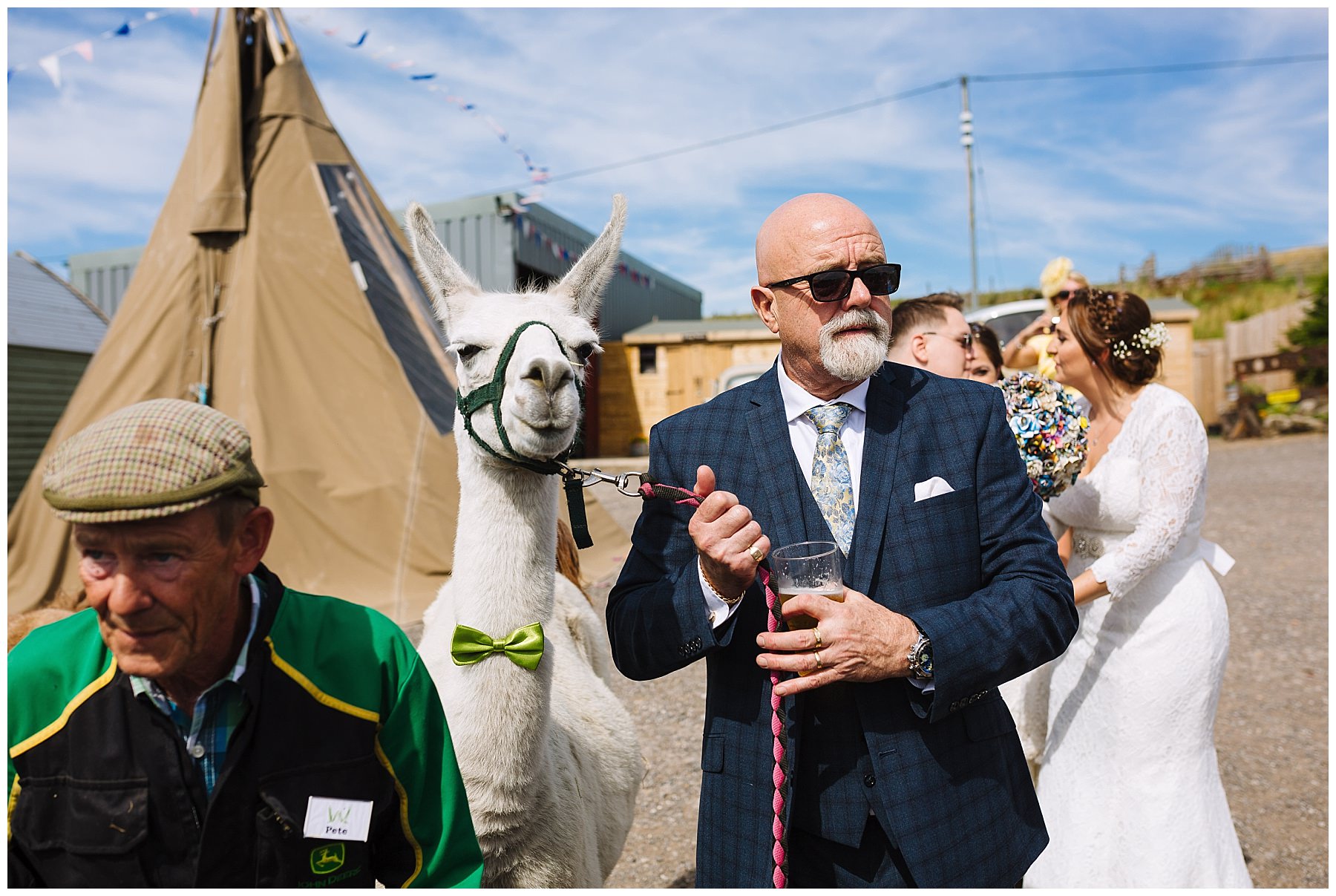 wedding guest and llama at the wellbeing farm